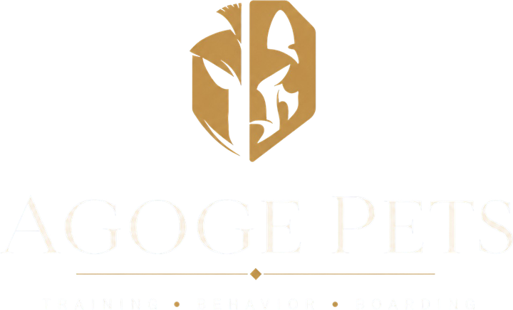 Agoge Pets — Training · Behavior · Boarding